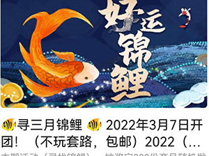复盘沸点天下勇哥“3月锦鲤活动”,揭秘如何零基础起步快团团团长